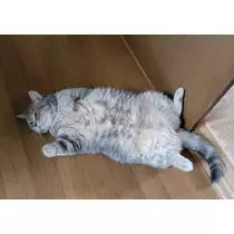 りか