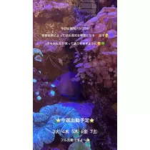 三上 胡桃