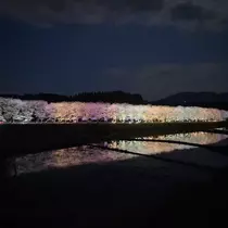 えみり