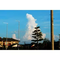 星野 大空