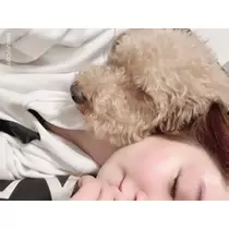 美波 あいか