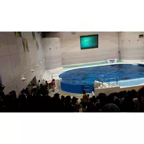 えみり