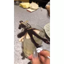ゆうか