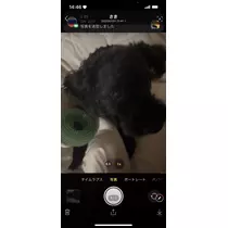 ミサ