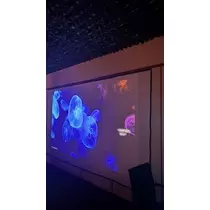 あみ