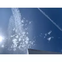 もも