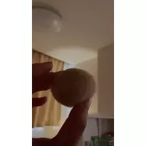 のあ