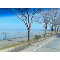 ゆか