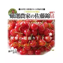 蓮見 リア