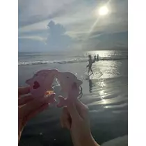 妃華