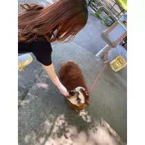 むつみ
