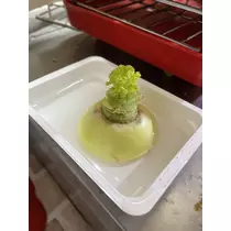 ちひろ