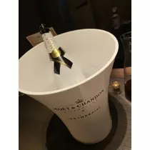 白石 愛莉