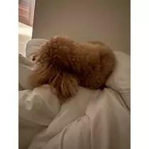 美波 あいか