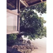ゆかり