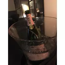 白石 愛莉