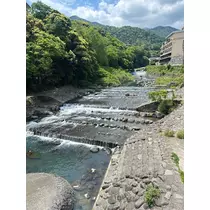 ユズ