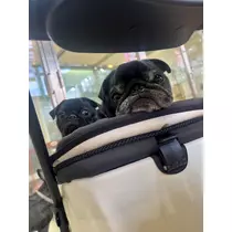 綾瀬 優