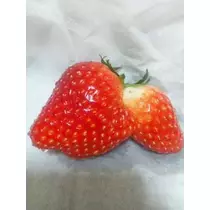 愛羽 仁美