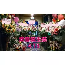 紫音
