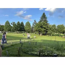 ひめか