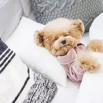 ゆうか