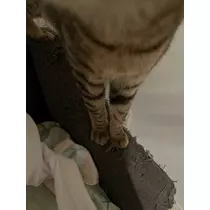 黒川 すみれ