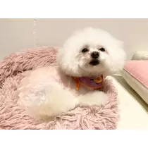 夏樹 あや