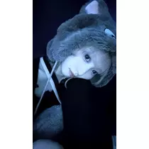かびるんるんさわ