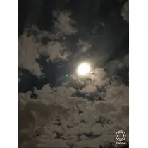 宝條 夏恋