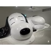 かんな