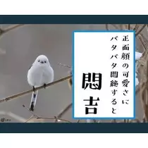 ひな
