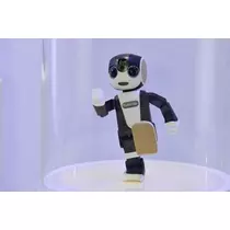 蓮見 リア