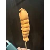 かびるんるんさわ