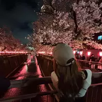 ひな