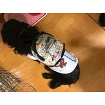 りえ
