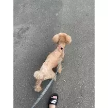 美波 あいか