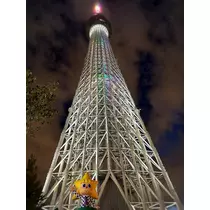RYO