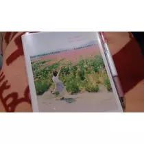 七星 夏純