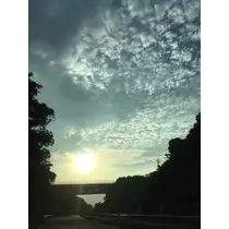 椿綺 楓