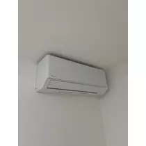 マコト