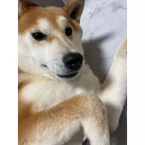 みり
