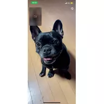 えり