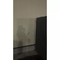 マヤ