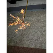 七星 舞冬