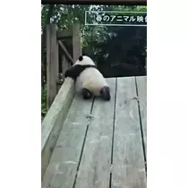 のはら かすみ