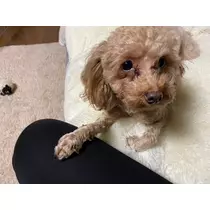 高瀬 美羽