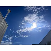 りり