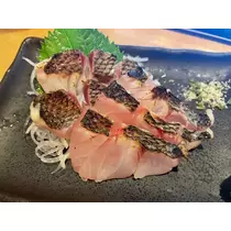 式波 ツバサ