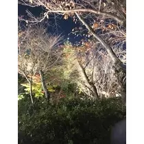 成海 まお